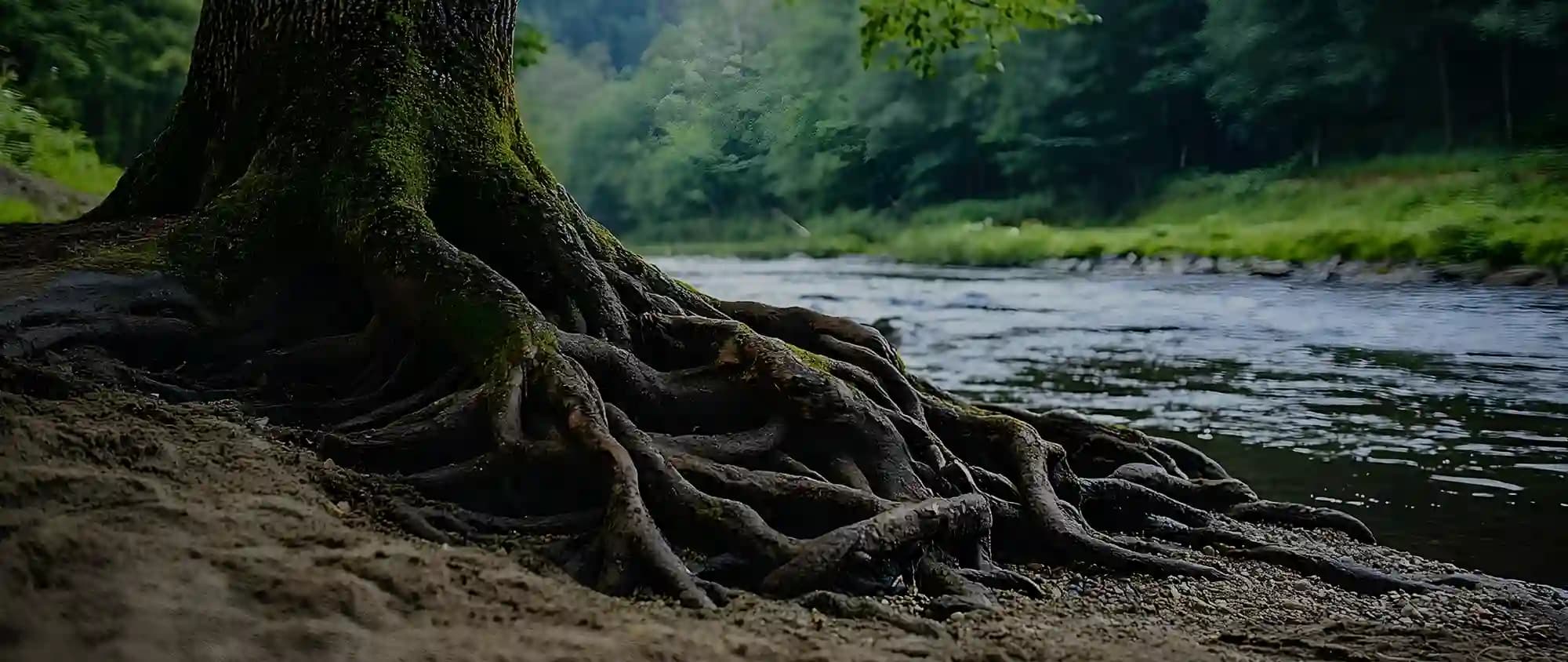 Über mich - Sich Frei Bewegen Düsseldorf