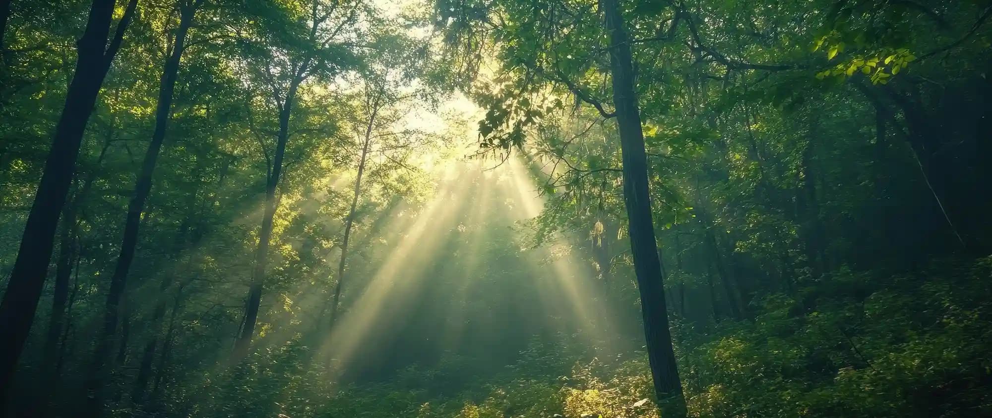 Retreat & Auszeit - Sich Frei Bewegen Düsseldorf