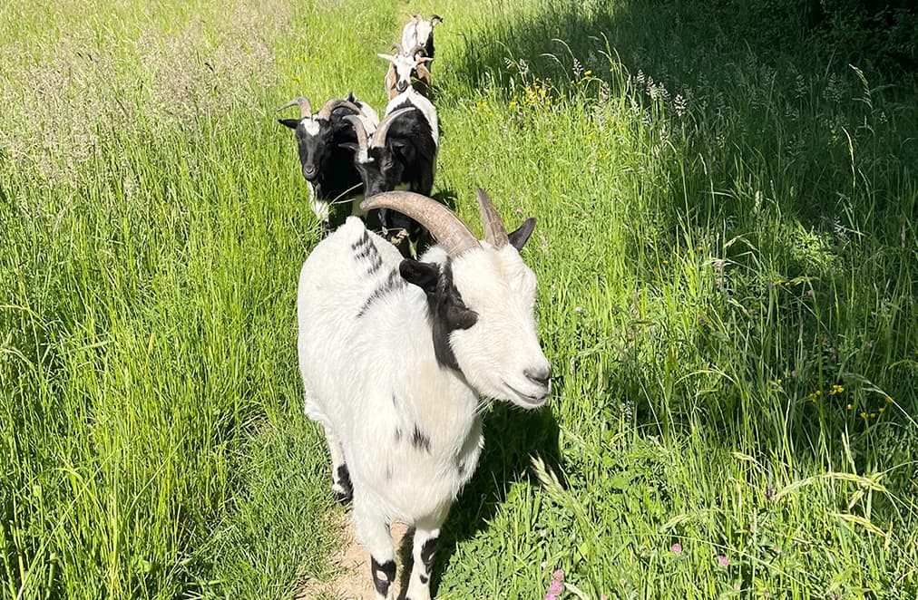 Auszeit Retreat Düsseldorf - Achtsamkeit und Atemarbeit