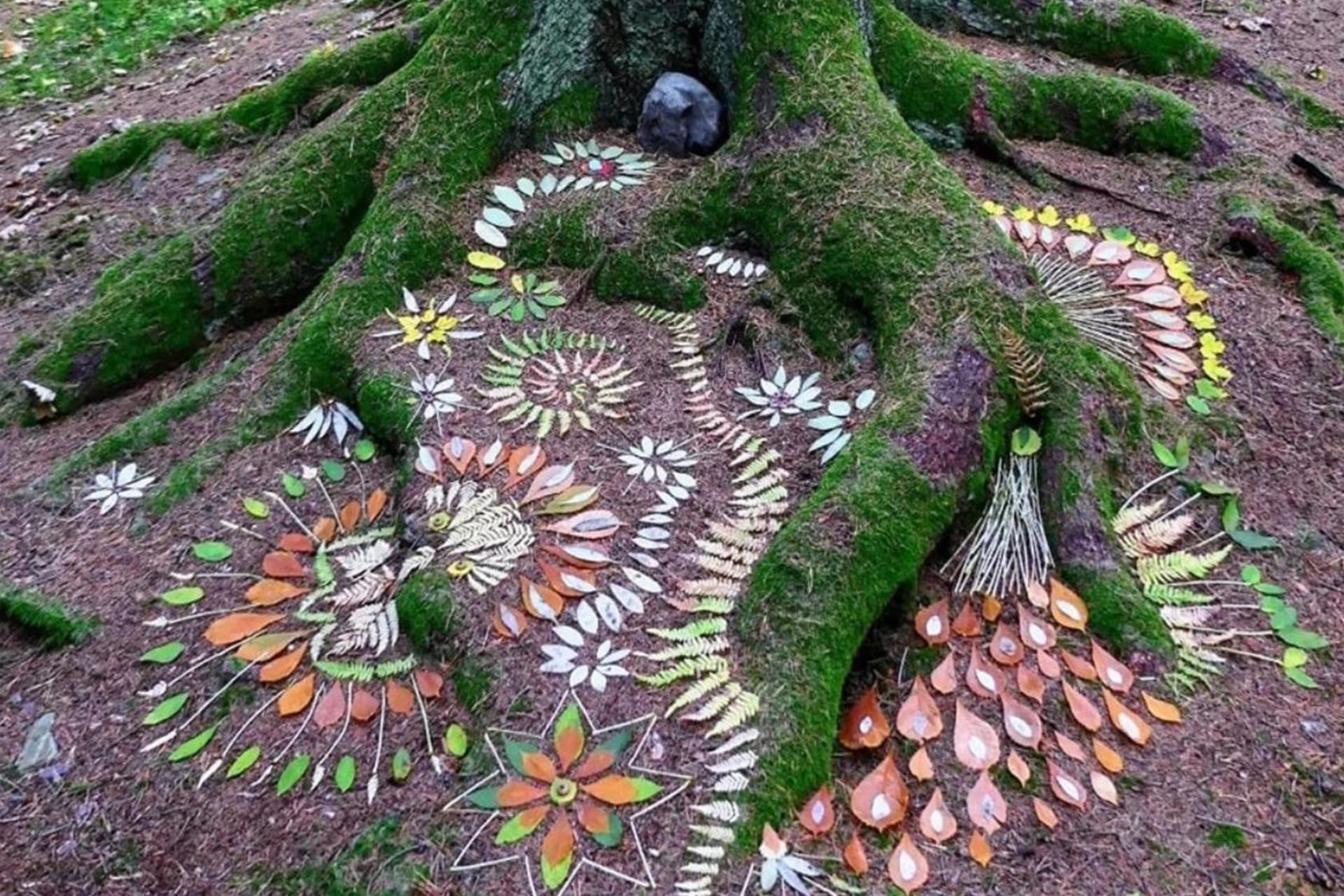 Informationen zum Datenschutz - Sich Frei Bewegen Düsseldorf